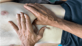 Висцеральная терапия фото