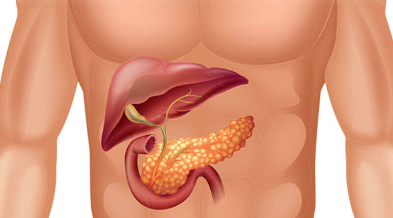 Поджелудочная железа